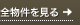 ��ʪ��򸫤�
